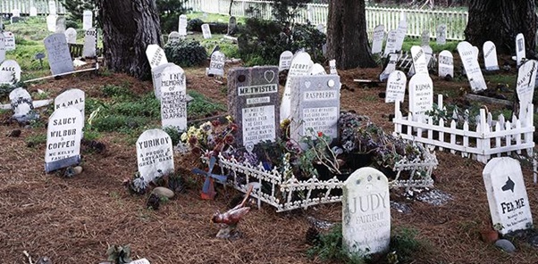 pet cemetery